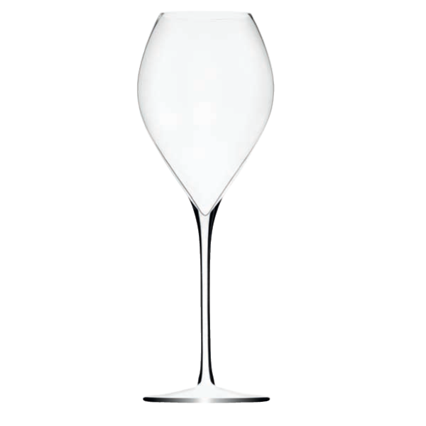 Champagne Glass ' Jamesse' Premium 30